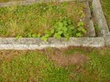 image of grave number 808747